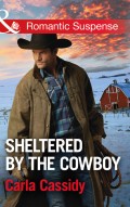 Sheltered By The Cowboy