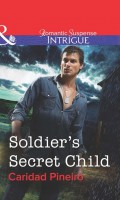 Soldier's Secret Child