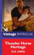 Thunder Horse Heritage