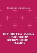 Принцесса замка Кристофор. Возвращение в замок