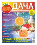Дача Pressa.ru 24-2020