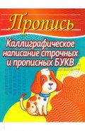 Каллиграф. написание строчных и прописных букв