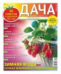 Дача Pressa.ru 01-2021