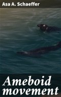 Ameboid movement