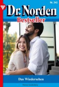 Dr. Norden Bestseller 345 – Arztroman