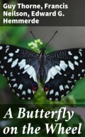 A Butterfly on the Wheel