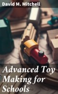 Advanced Toy Making for Schools