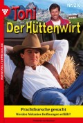 Toni der Hüttenwirt 210 – Heimatroman