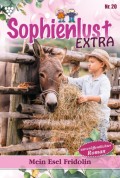 Sophienlust Extra 20 – Familienroman