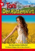 Toni der Hüttenwirt 267 – Heimatroman