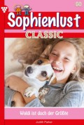 Sophienlust Classic 60 – Familienroman