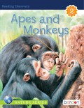 Apes and Monkeys