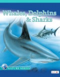 Whales, Dolphins, & Sharks