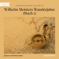 Wilhelm Meisters Wanderjahre, Buch 1 (Ungekürzt)