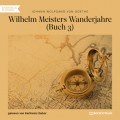 Wilhelm Meisters Wanderjahre, Buch 3 (Ungekürzt)