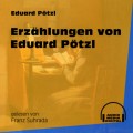 Erzählungen von Eduard Pötzl (Ungekürzt)