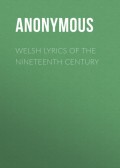 Welsh Lyrics of the Nineteenth Century