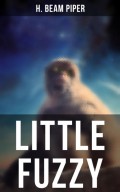 LITTLE FUZZY