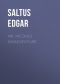 Mr. Incoul's Misadventure