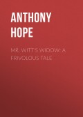 Mr. Witt's Widow: A Frivolous Tale