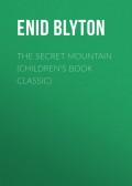 The Secret Mountain (Children's Book Classic)