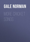 More Cricket Songs