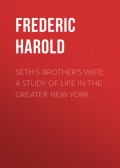 Seth's Brother's Wife: A Study of Life in the Greater New York