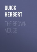 The Brown Mouse