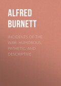 Incidents of the War: Humorous, Pathetic, and Descriptive
