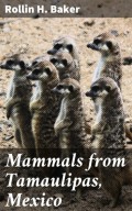Mammals from Tamaulipas, Mexico