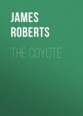 The Coyote