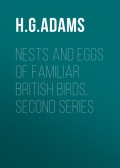 Nests and Eggs of Familiar British Birds, Second Series
