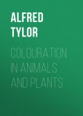 Colouration in Animals and Plants
