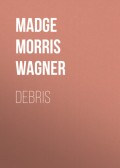 Debris