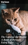 The Cat and the Mouse: A Book of Persian Fairy Tales