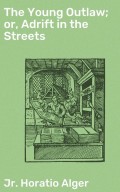 The Young Outlaw; or, Adrift in the Streets