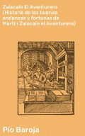 Zalacaín El Aventurero (Historia de las buenas andanzas y fortunas de Martín Zalacaín el Aventurero)