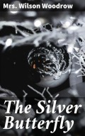 The Silver Butterfly