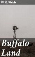 Buffalo Land