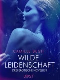 Wilde Leidenschaft – Drei erotische Novellen