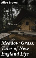 Meadow Grass: Tales of New England Life