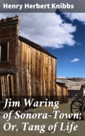 Jim Waring of Sonora-Town; Or, Tang of Life