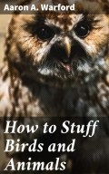 How to Stuff Birds and Animals