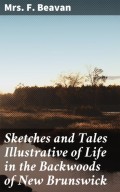 Sketches and Tales Illustrative of Life in the Backwoods of New Brunswick
