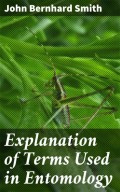 Explanation of Terms Used in Entomology