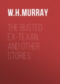 The Busted Ex-Texan, and Other Stories