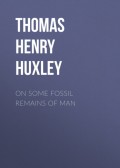 On Some Fossil Remains of Man