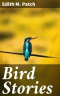 Bird Stories
