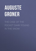The Case of the Pocket Diary Found in the Snow