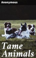 Tame Animals